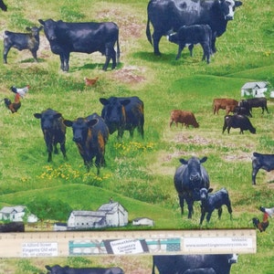 Quilting Patchwork Sewing Fabric Black Angus Cows 50x55cm FQ