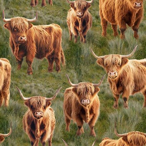 May include: A seamless pattern featuring a close-up of several brown Highland cattle with long, shaggy fur standing in a field of green grass.