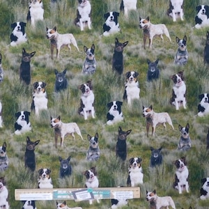 Peut inclure: Un motif de tissu sans couture présentant un motif répété de chiens de berger australiens dans diverses poses. Les chiens sont représentés dans des tons de noir, blanc, bleu merle et rouge merle sur un fond de verdure.