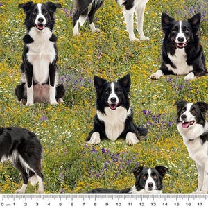 Patchwork Sewing Quilting Fabric Border Collies Merino Muster3 50x55cm FQ