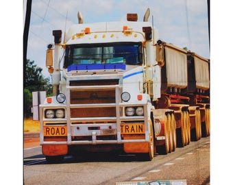 Tela de patchwork para acolchado y costura, panel de camión Terrific Trucking de 92 x 110 cm