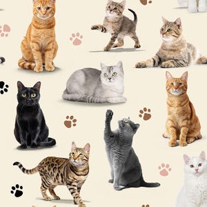 Peut inclure: Un motif répété présentant différentes races de chats, notamment des chats roux, noirs et gris, dans diverses poses. Le fond est beige clair avec des motifs de pattes.
