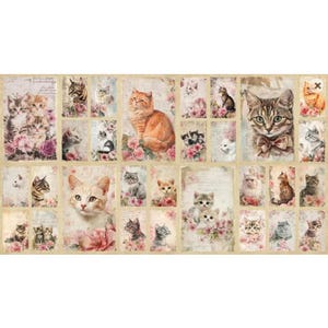 May include: A fabric panel featuring a collage of various cat illustrations in different poses, interspersed with pink floral accents and vintage-style script text on a light beige background. The design includes multiple rectangular frames.