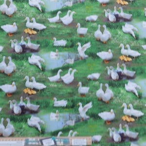 Peut inclure: Un tissu blanc avec un motif répété de canards blancs sur un fond vert. Les canards sont dans différentes poses, certains nagent, d'autres se tiennent debout et d'autres marchent. Le tissu est parfait pour le quilting, l'artisanat et la décoration de la maison.