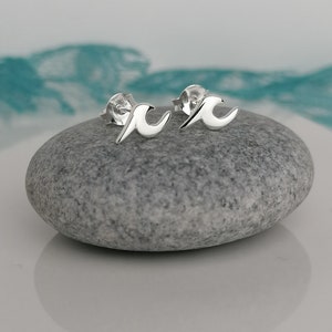 Puede incluir: Un par de pendientes de plata en forma de ola. Los pendientes son pequeños y delicados, y son perfectos para añadir un toque de fantasía a cualquier atuendo.