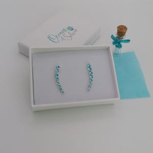 Peut inclure: Paire de boucles d'oreilles grimpantes argentées, chacune ornée d'une ligne de petites pierres bleues claires disposées en courbe. Les boucles d'oreilles sont présentées dans un coffret blanc avec le texte "Oceans of Silver". Une petite bouteille en verre avec un bouchon et un ruban bleu est également visible.