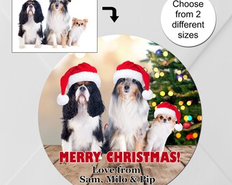 Kerstfotostickers Honden Huisdieren: aangepaste feestelijke cadeaukaartjes Kaartzegels
