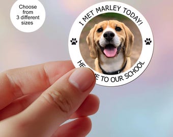 Fotostickers school PAT-hond, beloningsstickers, op maat gemaakt