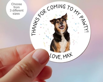 Fotostickers verjaardagsfeestje hond: gepersonaliseerde huisdierlabels