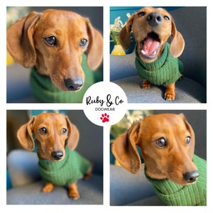 Dachshund stretch Jummies fir green