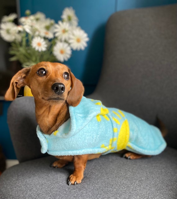 Dachshund dressing gown Clearance