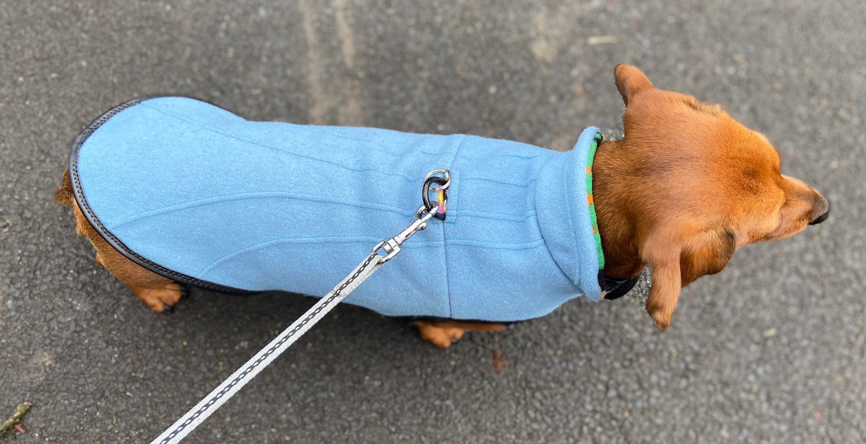 Sunday best dachshund dog coat Etsy