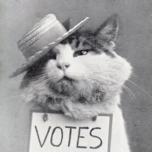Reprodução do cartão postal das sufragistas VOTOS PARA MULHERES