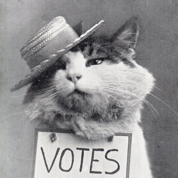 Reproduction of Suffragette Postcard VOTES FOR WOMEN