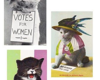 Set aus drei Repliken von originalen Suffragetten Postkarten - KATZEN