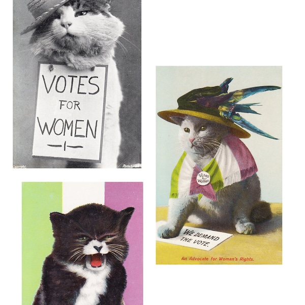 Set of three replicas of original Suffragette Postcards - CATS