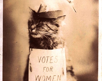 Reproduction of Suffragette Postcard DEFYING THE LAW