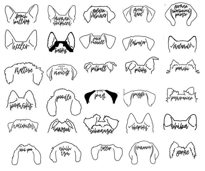 Puede incluir: Ilustraciones en blanco y negro de diferentes razas de perros, incluyendo un Bulldog Franc&eacute;s, Pastor Alem&aacute;n, Golden Retriever, Gran Dan&eacute;s, Braco Alem&aacute;n de Pelo Corto, Heeler, Husky, Jack Russell, Labrador, Malamute, Malt&eacute;s, Mast&iacute;n, Pitbull, Pitsky, Pomerania, Caniche,  Carlino,  Puggle, Pomsky, Rottweiler, Samoiedo, Schnauzer, Shepsky, Shih Tzu, Shih-poo,  Shilad, Toller,  Yorkie.