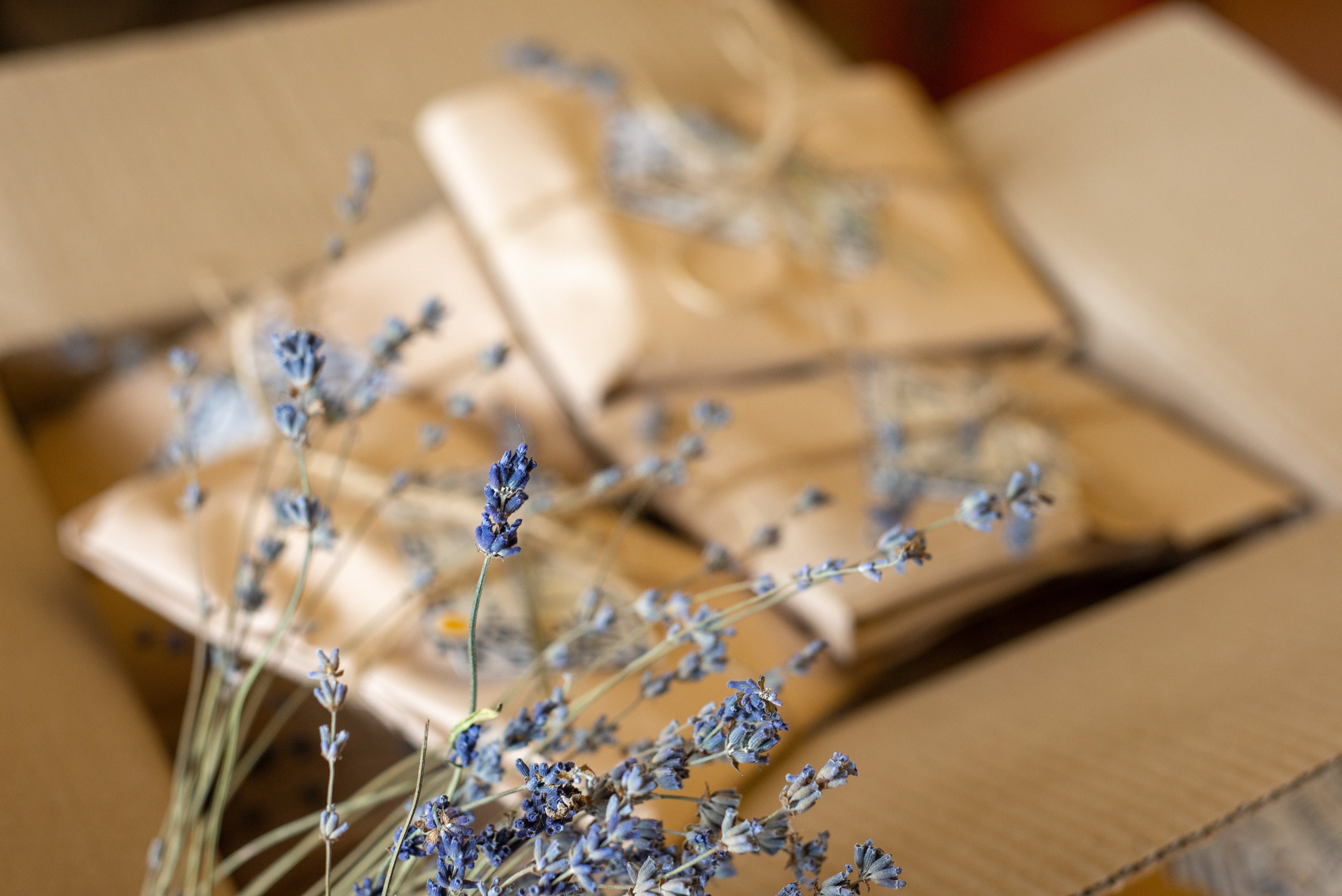 Figs Phone Case iPhone 14 Plus 13 Pro Max Silicone Handy Etsy