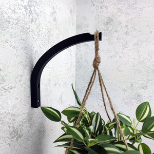 May include: Black metal plant hanger mounted on a white wall with a green plant hanging from it.