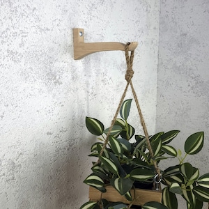 Blumenampel für Innen. Haken für die Wand. Pflanzenhalter. Holz Pflanzenaufhänger. Zimmer Pflanzen Halterung. Hängender Holzhaken für Pflanzen. Wand Pflanzenhaken.