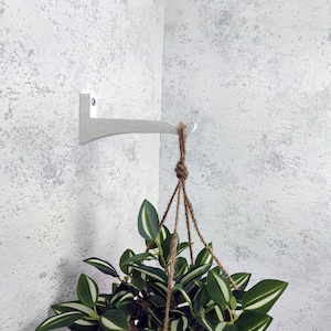Moderne Blumenhaken weiße Farbe. Holzwand Pflanzenhaken. Haken aus Holz zum Aufhängen von Pflanzen. Holz Pflanzenaufhänger.