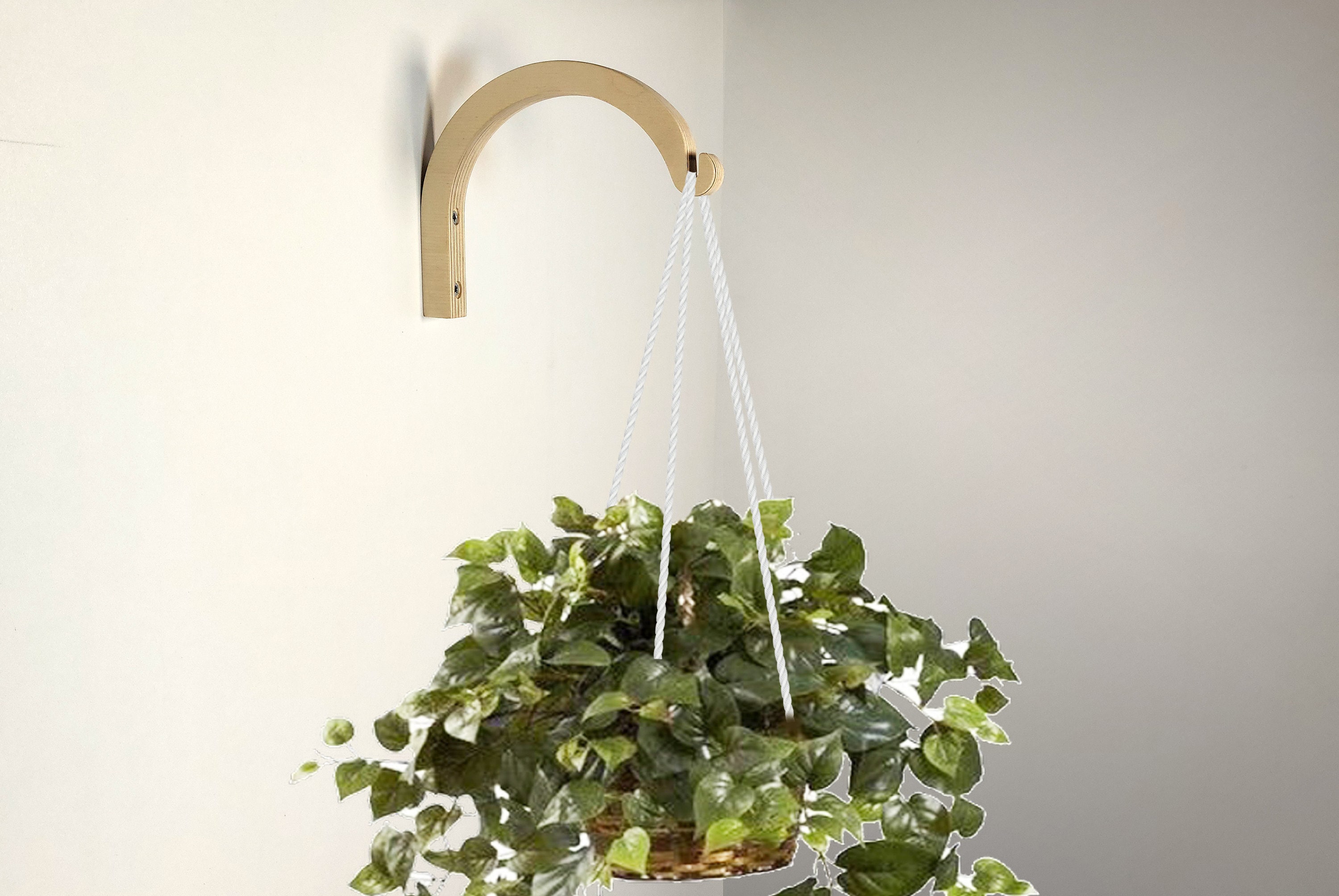Crochet de plante en bois suspendu, Crochet de suspension murale pour  plantes, Support de plantes dintérieur, Crochet en bois pour plantes -   France
