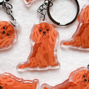 Ruby Cavalier King Charles Spaniel Keychain, Acrylic Keychain,Dog Keychain, Original Artwork