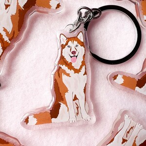 May include: A set of six clear acrylic keychains featuring a cartoon husky dog with brown and white fur. The husky is depicted in various poses, including sitting, standing, and lying down. The keychains are attached to silver metal key rings.