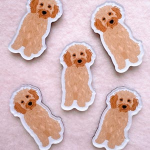 May include: Five cream-colored dog magnets with a white background. Each magnet features a different illustration of a small dog with brown eyes and a brown nose.