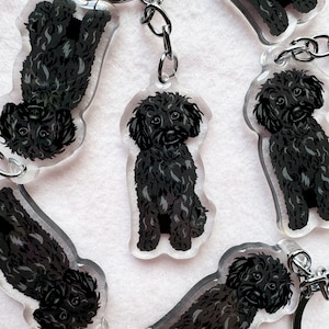 May include: A set of six black dog keychain charms. Each charm features a different pose of a black dog with a fluffy coat. The charms are made of clear acrylic and have a silver metal key ring.