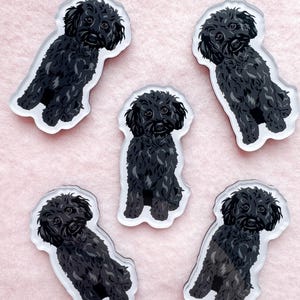 May include: Five black and white illustrated poodle dog magnets. The magnets are on a pink background.