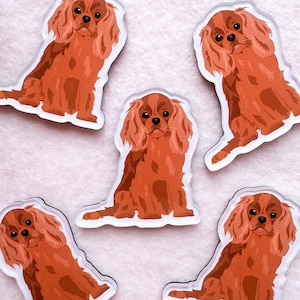 May include: Five illustrated Cavalier King Charles Spaniel dog magnets. The dogs are all sitting and facing forward. The magnets are white with a black outline and the dogs are brown.