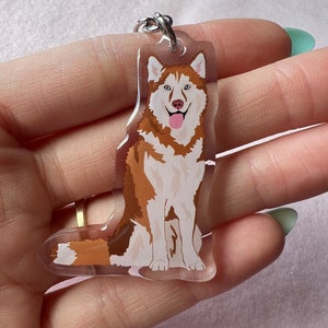 May include: A clear acrylic keychain featuring a cartoon illustration of a brown and white husky dog with a pink tongue sticking out. The dog is sitting with its paws crossed and has blue eyes.