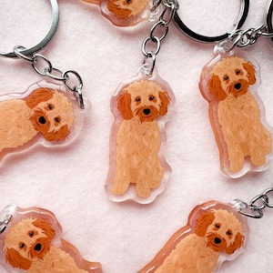 May include: Six keychains featuring a cartoon illustration of a light brown dog. The keychains are made of clear acrylic and have silver metal rings.