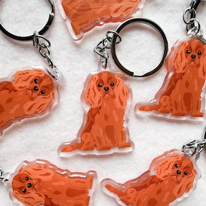 May include: Five keychains featuring a cartoon illustration of a Cavalier King Charles Spaniel dog. The keychains are made of clear acrylic and have a silver metal ring.