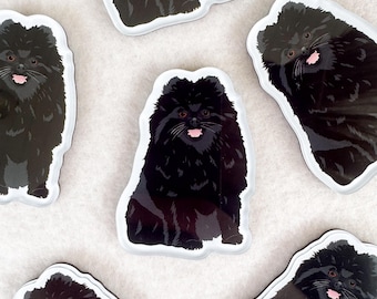 Black Pomeranian Magnet, Acrylic Magnet, Dog Magnet, Original Artwork Magnet