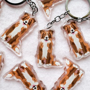 Brown Tri-color Border Collie Keychain, Acrylic Keychain, Dog Keychain, Original Artwork Keychain