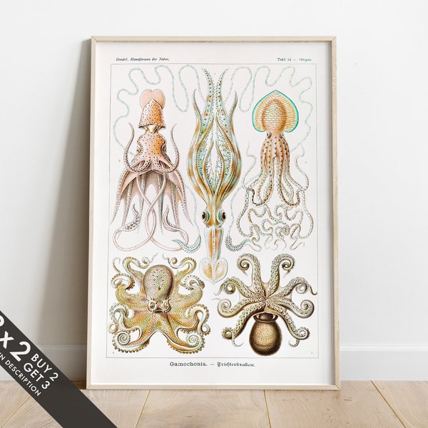 Octopus Wall Art Etsy