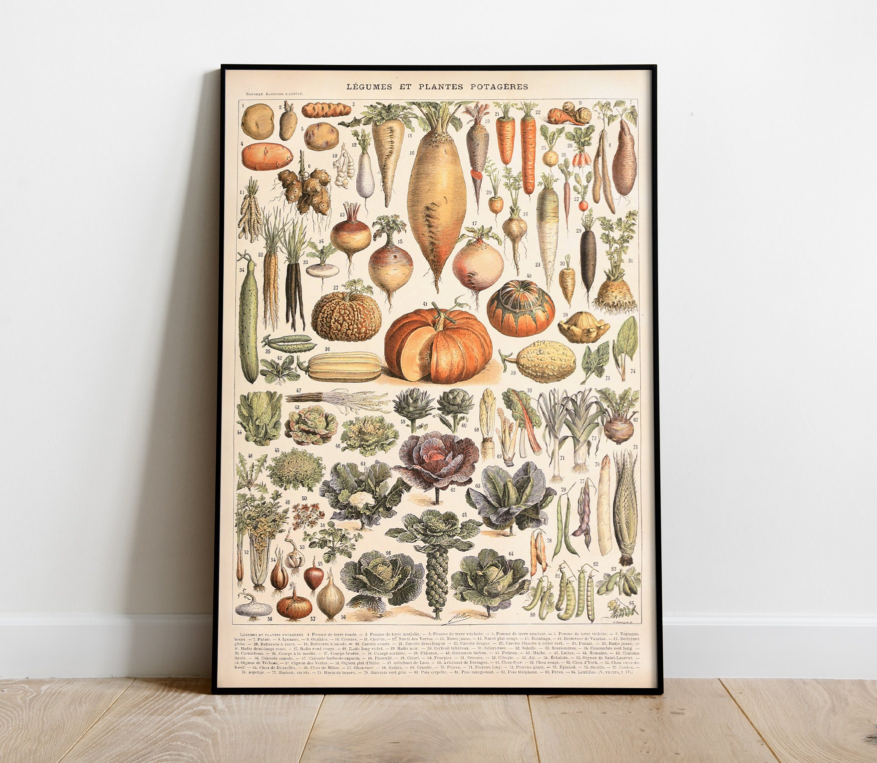47+ Gemüsegarten Poster, Du suchst inspiration, frische looks für