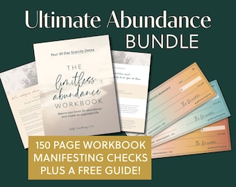 Abundance Manifestation Journal Manifesting Checks Law of Attraction Guide Vision Board Bundle Money Mindset Manifest Wealth Blank Checks