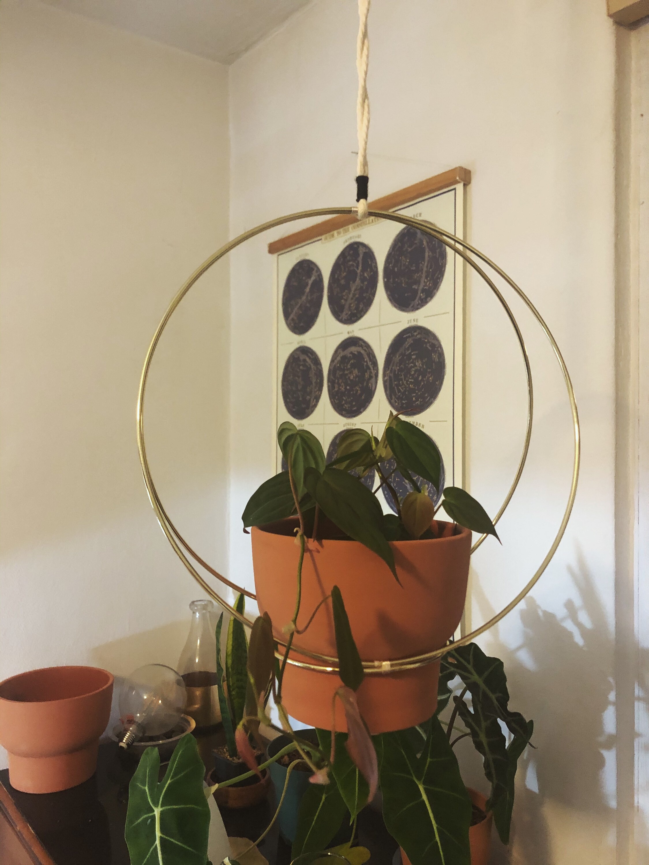 Brass Plated Hoop Hanger House Plant Hanger Etsy