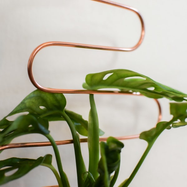 Squiggle Trellis | Copper Plant Stick | House Plant Stake