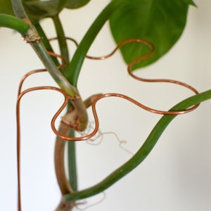 Splatter Trellis | Copper Plant Stick | Houseplant Stake | Indoor Plant Trellis
