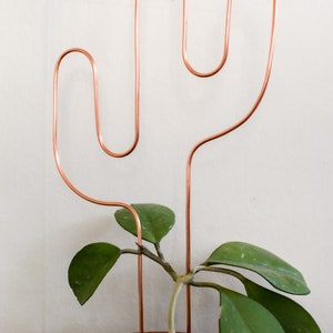 Cactus Trellis | Copper Trellis | Plant Stick | Houseplant Stake | Indoor Plant Trellis