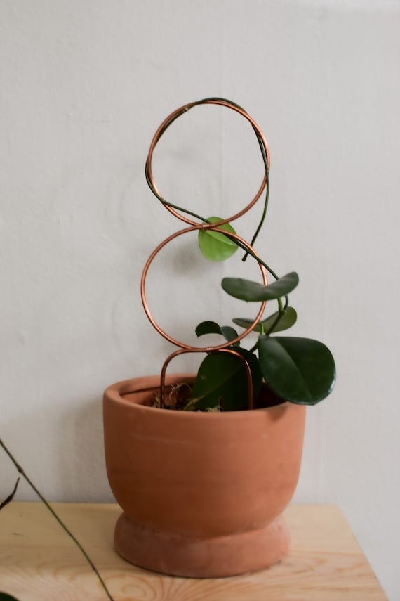 Double Circle Trellis Copper Plant Stake Indoor Plant Support Wire