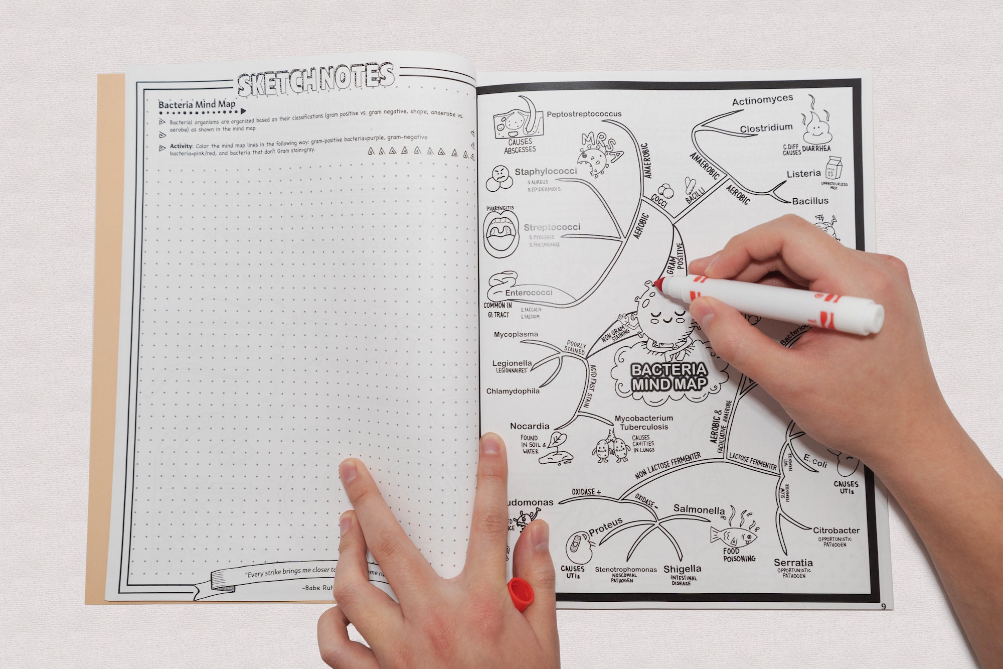 Antibiotics Pharmacology Coloring Book Etsy