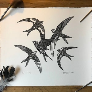 Swifts - Bird Art, Richard Studer, Wall Art, Limited Edition,
