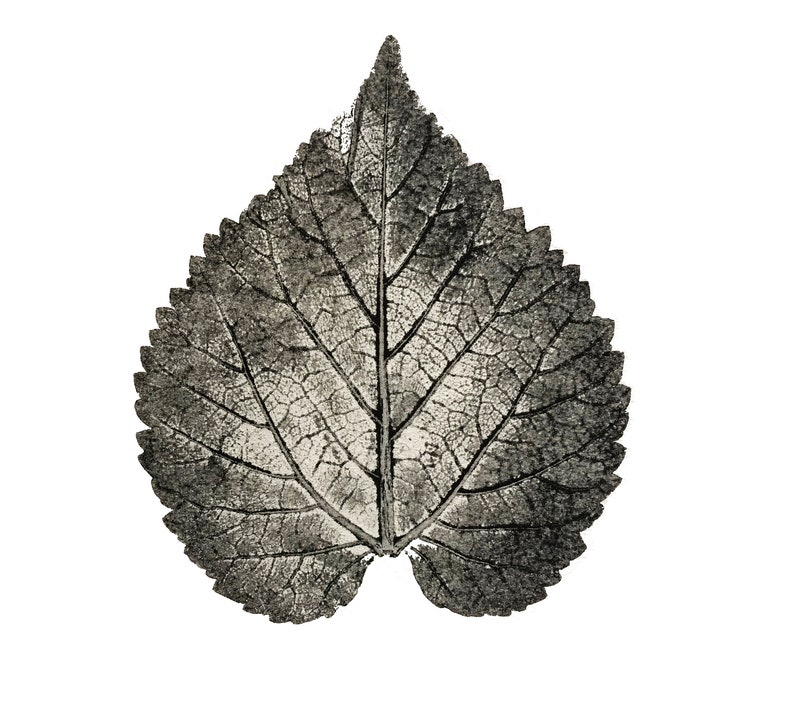 Heart/'s Delight 20x20cm unframed Digital Print