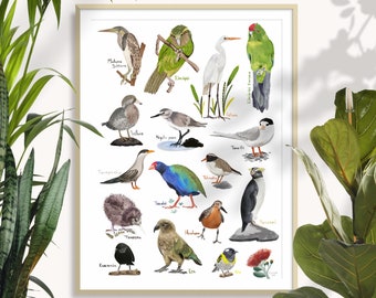 We are Birds of New Zealand Art Print of my Original Artwork